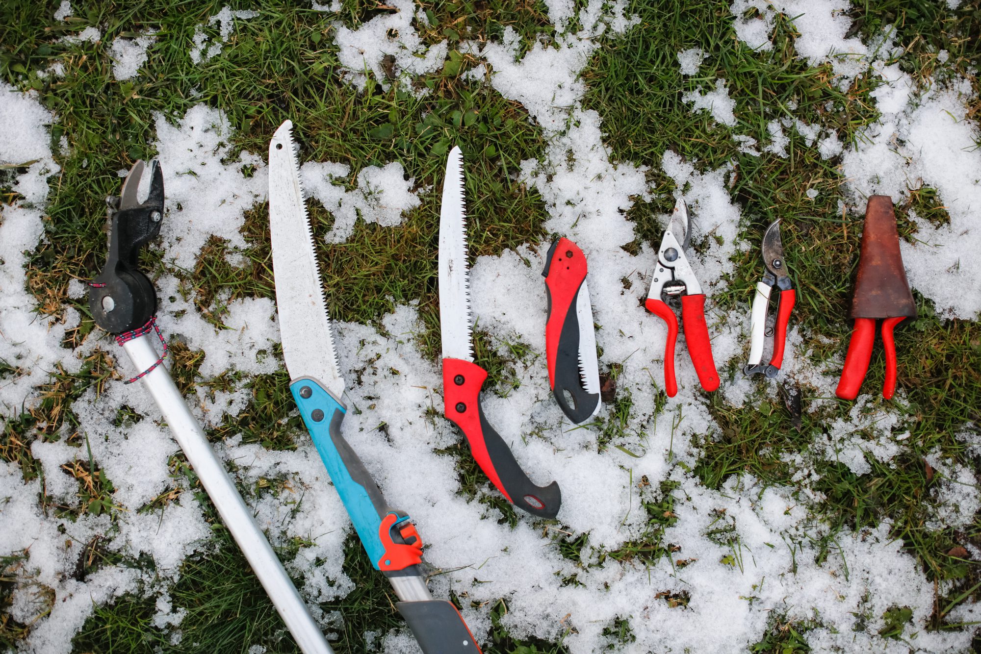 Tools for Spruning